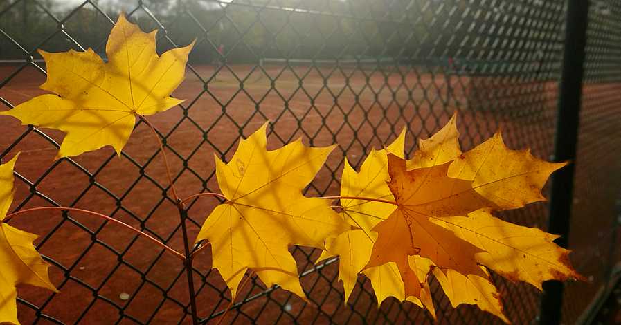Tennis: Saisonabschlussbericht